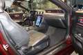 Ford Mustang Basis Convertible*Cabrio*Eco*LED*KAM*ACC.. Rot - thumbnail 22