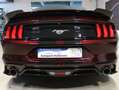 Ford Mustang Basis Convertible*Cabrio*Eco*LED*KAM*ACC.. Rot - thumbnail 6