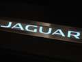 Jaguar F-Pace 5.0 V8 SVR | SVO Paint | Panorama Grün - thumbnail 17