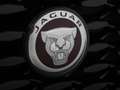 Jaguar F-Pace 5.0 V8 SVR | SVO Paint | Panorama Verde - thumbnail 13