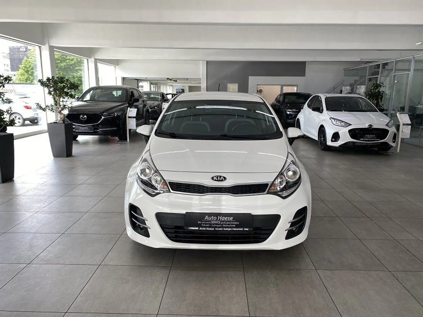 Kia Rio 1.2 84PS Spirit Klima,Pdc,Shz Weiß - 2