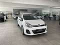 Kia Rio 1.2 84PS Spirit Klima,Pdc,Shz Weiß - thumbnail 1