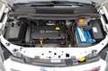 Opel Zafira B Family *TÜV-NEU* Weiß - thumbnail 17