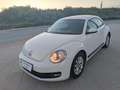Volkswagen Beetle 1.6TDI Design 105 Blanco - thumbnail 2
