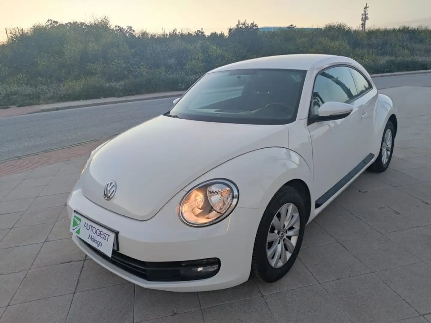 Volkswagen Beetle 1.6TDI Design 105 Blanco - 2
