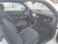 Volkswagen Beetle 1.6TDI Design 105 Blanco - thumbnail 19