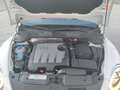 Volkswagen Beetle 1.6TDI Design 105 Blanco - thumbnail 12