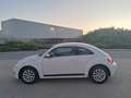 Volkswagen Beetle 1.6TDI Design 105 Blanco - thumbnail 15