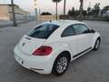 Volkswagen Beetle 1.6TDI Design 105 Blanco - thumbnail 3