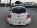 Volkswagen Beetle 1.6TDI Design 105 Blanco - thumbnail 16