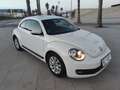 Volkswagen Beetle 1.6TDI Design 105 Blanco - thumbnail 1