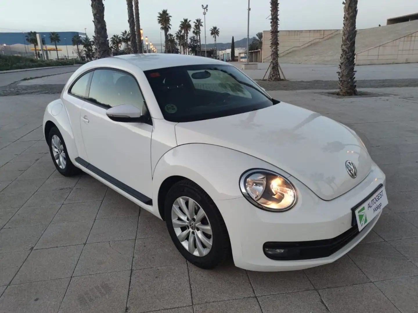 Volkswagen Beetle 1.6TDI Design 105 Blanco - 1