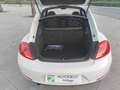 Volkswagen Beetle 1.6TDI Design 105 Blanco - thumbnail 8