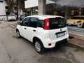 Fiat Panda Panda 1.0 firefly hybrid City Cross s Blanc - thumbnail 4