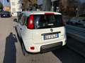 Fiat Panda Panda 1.0 firefly hybrid City Cross s Blanc - thumbnail 5