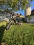 Rieju MRT 50 all black supermoto - thumbnail 5