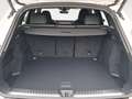 Audi Q5 TODOTERRENO 2.0 TDI MHEV BLACK LINE S TRONIC QUATT Blanco - thumbnail 11