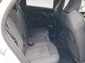 Audi Q5 TODOTERRENO 2.0 TDI MHEV BLACK LINE S TRONIC QUATT Blanco - thumbnail 8