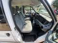 Ford Transit Kombi FT 280 K, 9 Sitzer, TÜV/HU 10/26 Blanco - thumbnail 14