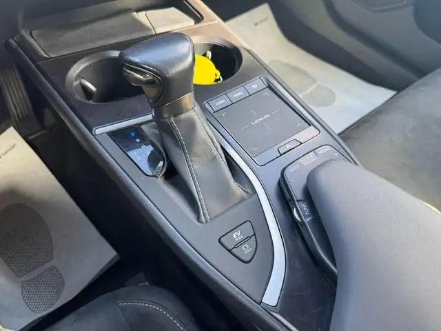 Lexus Ux view 12