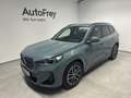 BMW X1 X1 xDrive20d Verde - thumbnail 1