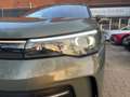 Volkswagen Tiguan 1.5 eTSI Goal DSG LED AHK Standhzg 360° Grün - thumbnail 18