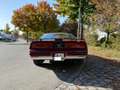 Pontiac Firebird 5.0L V8 172 PS TBI Automatik T-Top Rosso - thumbnail 6