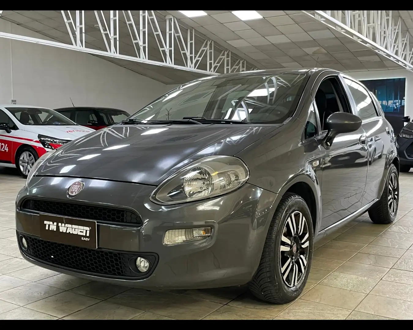 Fiat Punto 1.2 8V 5 porte Lounge 70CV 2014 *NEOPATENTATI* Grigio - 1