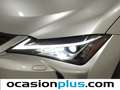 Lexus UX 250h Business 2WD Gris - thumbnail 12