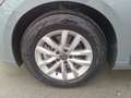 Volkswagen Passat Variant Business TDI Grau - thumbnail 20