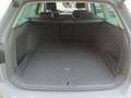 Volkswagen Passat Variant Business TDI Grau - thumbnail 17