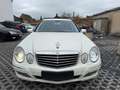 Mercedes-Benz E 220 E -Klasse T-Modell E 220 T CDI W211 Blanco - thumbnail 8