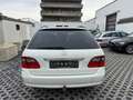 Mercedes-Benz E 220 E -Klasse T-Modell E 220 T CDI W211 Blanco - thumbnail 4