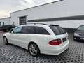 Mercedes-Benz E 220 E -Klasse T-Modell E 220 T CDI W211 Blanco - thumbnail 3