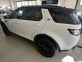 Land Rover Discovery Sport Discovery Sport 2.0 td4 HSE Luxury awd 180cv Bianco - thumbnail 4