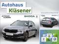 Skoda Kamiq Monte Carlo 1.0 TSI 85 KW DSG Gris - thumbnail 1