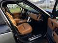 Land Rover Range Rover 4.4D V8 Autobiography-Mega Voll! Gris - thumbnail 22