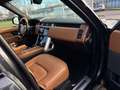 Land Rover Range Rover 4.4D V8 Autobiography-Mega Voll! Gris - thumbnail 12