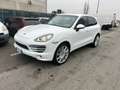 Porsche Cayenne 3.0 V6 tdi 245cv tiptronic - thumbnail 1