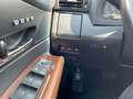 Lexus RX 450h Executive Line HUD*Pano*Navi*Leder*DAB Grau - thumbnail 18
