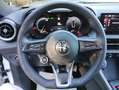 Alfa Romeo Tonale Tonale 1.6 Super 130cv tct6 Bianco - thumbnail 14