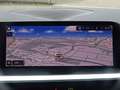 BMW Z4 sDrive30i adLED HuD ACC HiFi Drive/Parkassist Grau - thumbnail 13