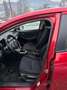 Mazda 2 Prime-Line Rot - thumbnail 8