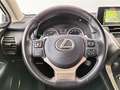 Lexus NX 300 300h Business Navigation 2WD Bleu - thumbnail 9