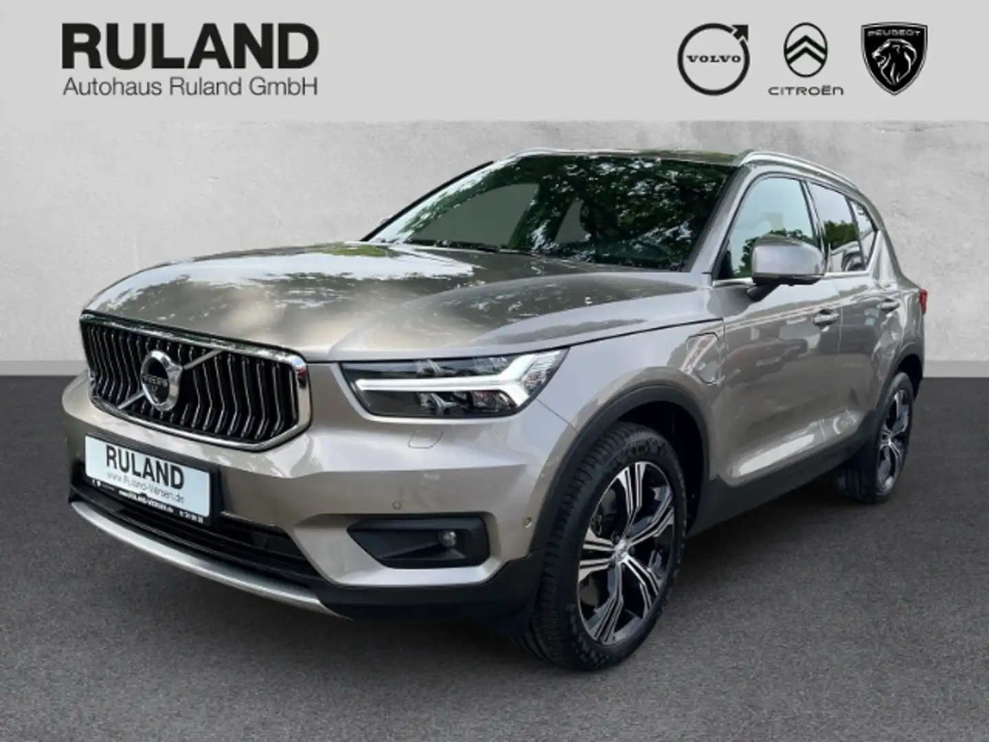 Volvo XC40 Inscription Recharge Plug-In Hybrid 2WD T4 Twin En Grigio - 1