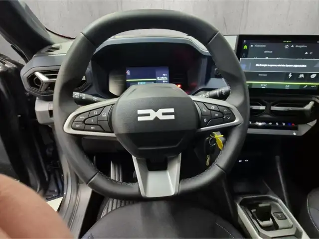 Dacia Bigster view 10