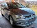 Volkswagen Golf Variant Golf Variant 1,6 TDI SCR Grau - thumbnail 4