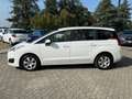 Peugeot 5008 5008 BlueHDi 120 EAT6 S&S Active Bianco - thumbnail 6