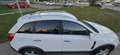 Opel Antara Antara 2,2 CDTI Cosmo DPF Aut. Cosmo Weiß - thumbnail 15