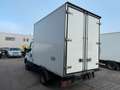 Iveco Daily 50C/35 50-170 Automatik Kühlkoffer*Klima* Weiß - thumbnail 5